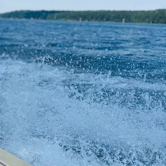 Meet your Posher, Brandy - Picture 1 of 1